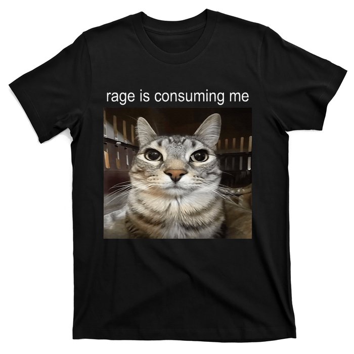 Rage Is Consuming Me Silly Staring Cat Meme T-Shirt