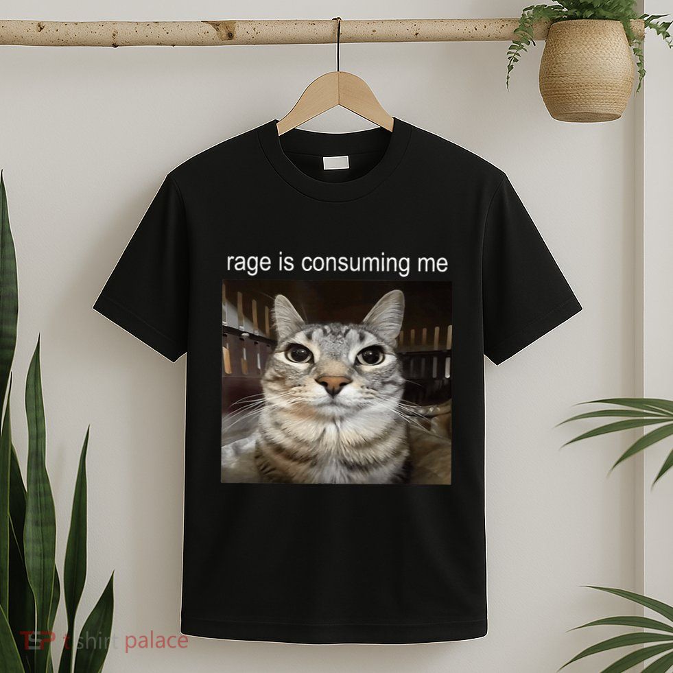 Rage Is Consuming Me Silly Staring Cat Meme T-Shirt