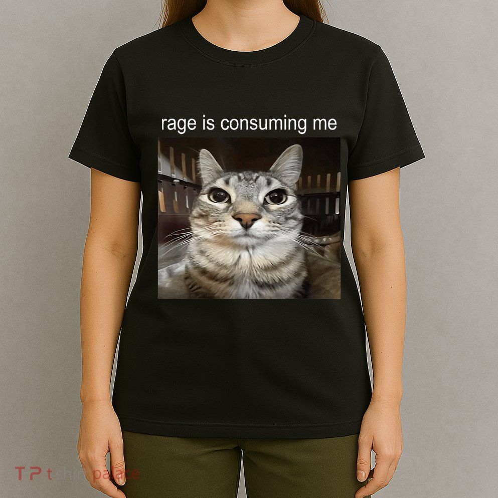 Rage Is Consuming Me Silly Staring Cat Meme T-Shirt