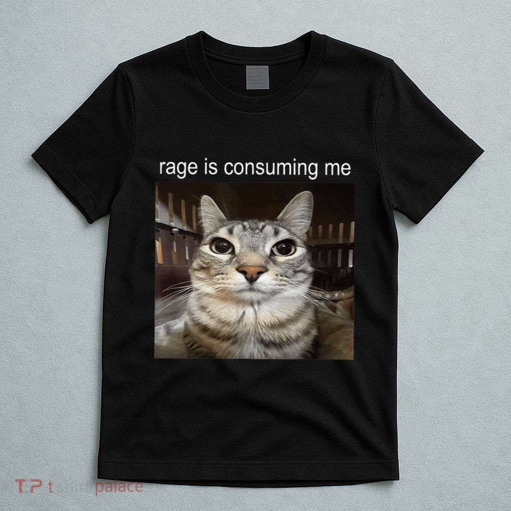 Rage Is Consuming Me Silly Staring Cat Meme T-Shirt