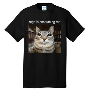 Rage Is Consuming Me Silly Staring Cat Meme Tall T-Shirt