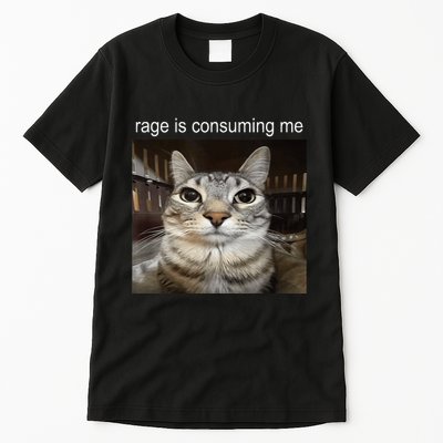 Rage Is Consuming Me Silly Staring Cat Meme Tall T-Shirt