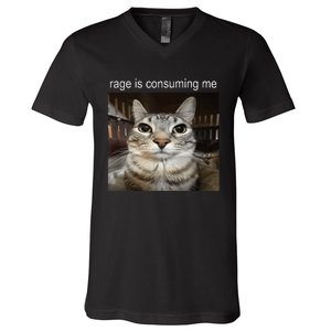 Rage Is Consuming Me Silly Staring Cat Meme V-Neck T-Shirt