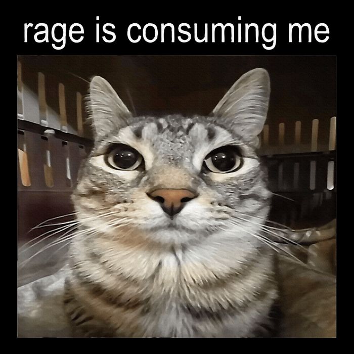Rage Is Consuming Me Silly Staring Cat Meme Button