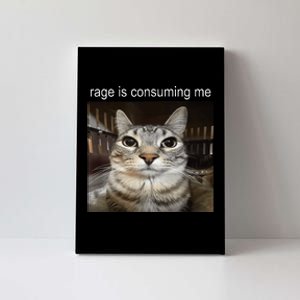 Rage Is Consuming Me Silly Staring Cat Meme Canvas