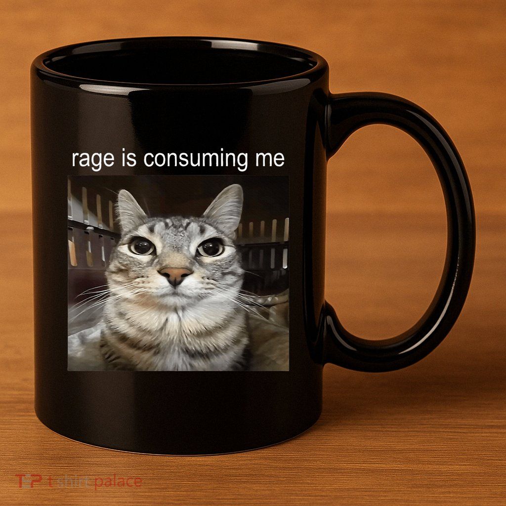 Rage Is Consuming Me Silly Staring Cat Meme 11oz C Handle Ceramic Mug