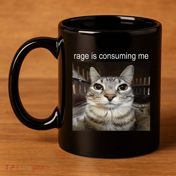 Rage Is Consuming Me Silly Staring Cat Meme 11oz C Handle Ceramic Mug