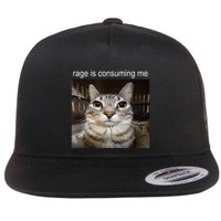 Rage Is Consuming Me Silly Staring Cat Meme Flat Bill Trucker Hat