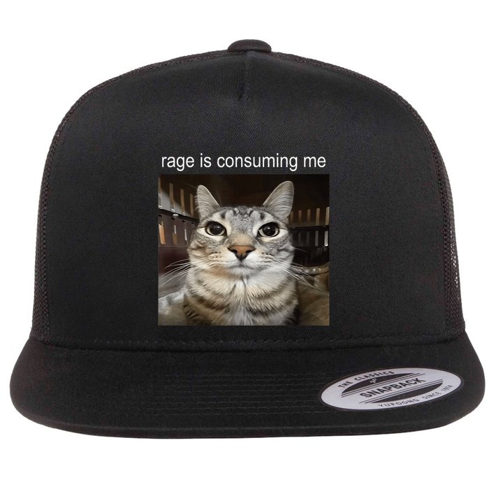 Rage Is Consuming Me Silly Staring Cat Meme Flat Bill Trucker Hat