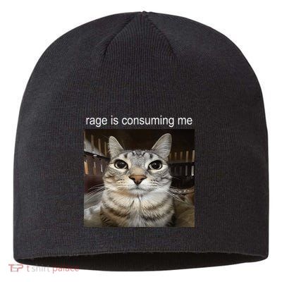 Rage Is Consuming Me Silly Staring Cat Meme Sustainable Beanie