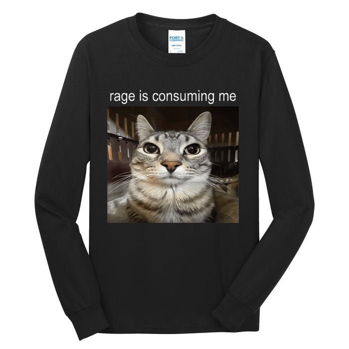 Rage Is Consuming Me Silly Staring Cat Meme Tall Long Sleeve T-Shirt