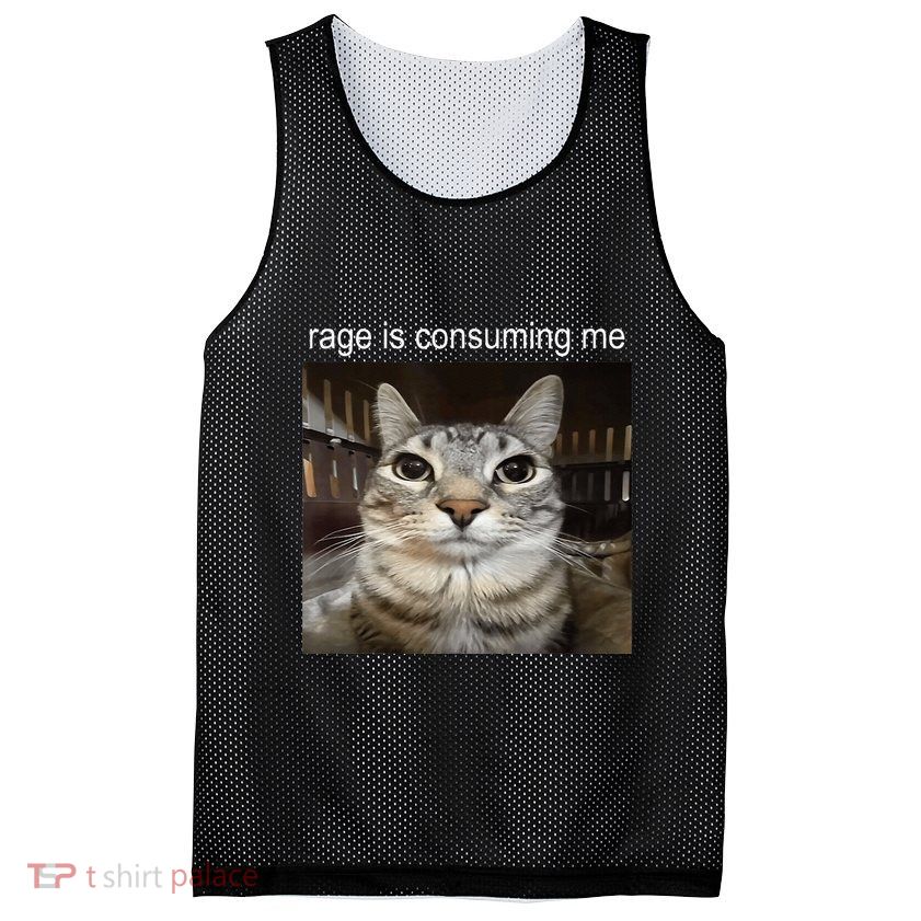 Rage Is Consuming Me Silly Staring Cat Meme Mesh Reversible Basketball Jersey Tank