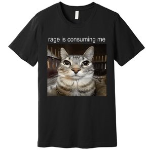 Rage Is Consuming Me Silly Staring Cat Meme Premium T-Shirt