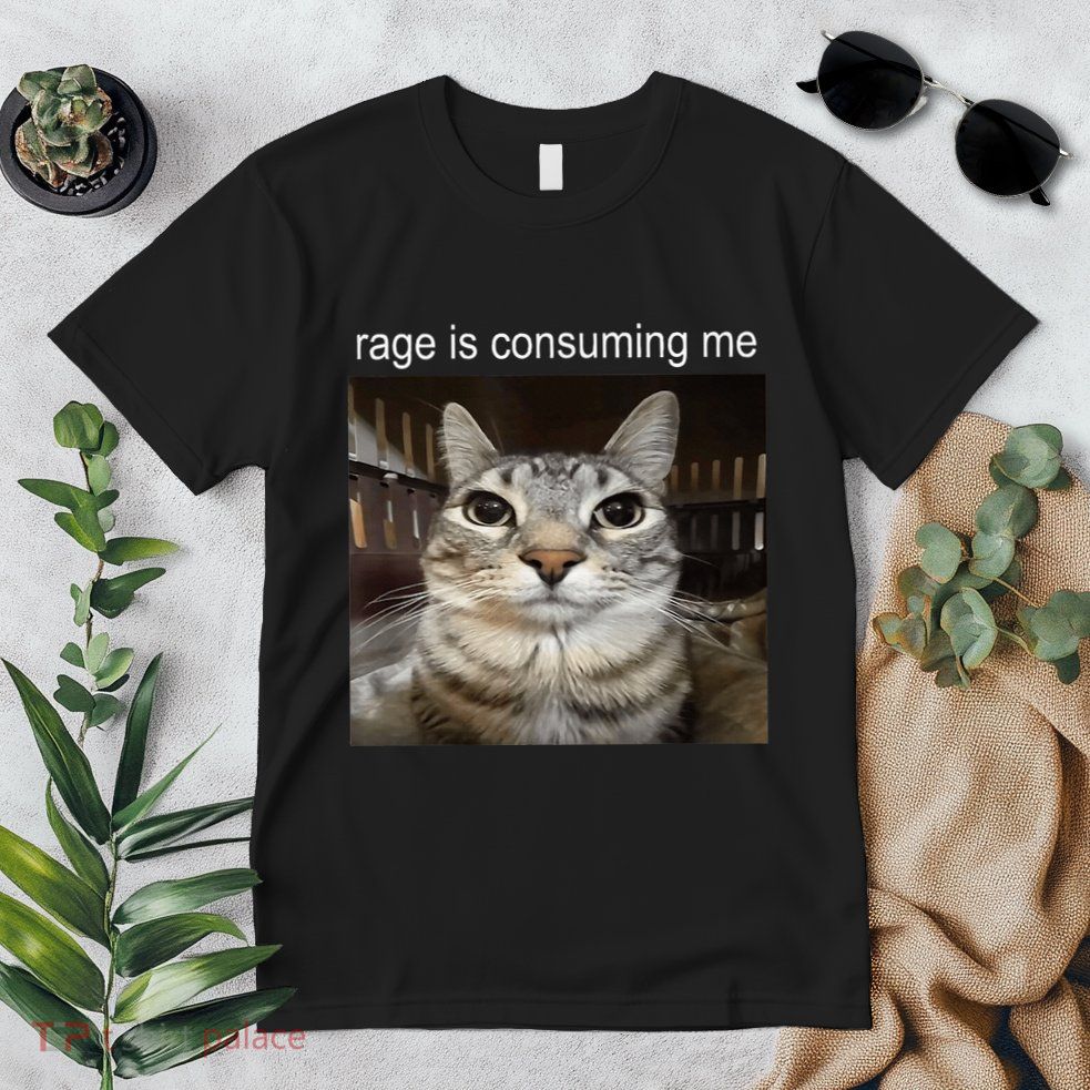 Rage Is Consuming Me Silly Staring Cat Meme Premium T-Shirt
