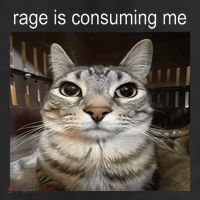 Rage Is Consuming Me Silly Staring Cat Meme 25L Jumbo Tote