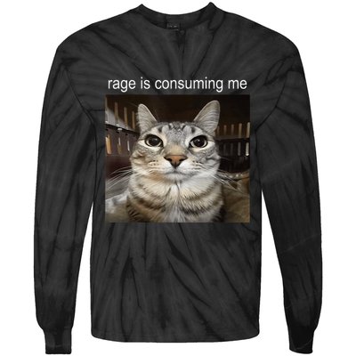 Rage Is Consuming Me Silly Staring Cat Meme Tie-Dye Long Sleeve Shirt