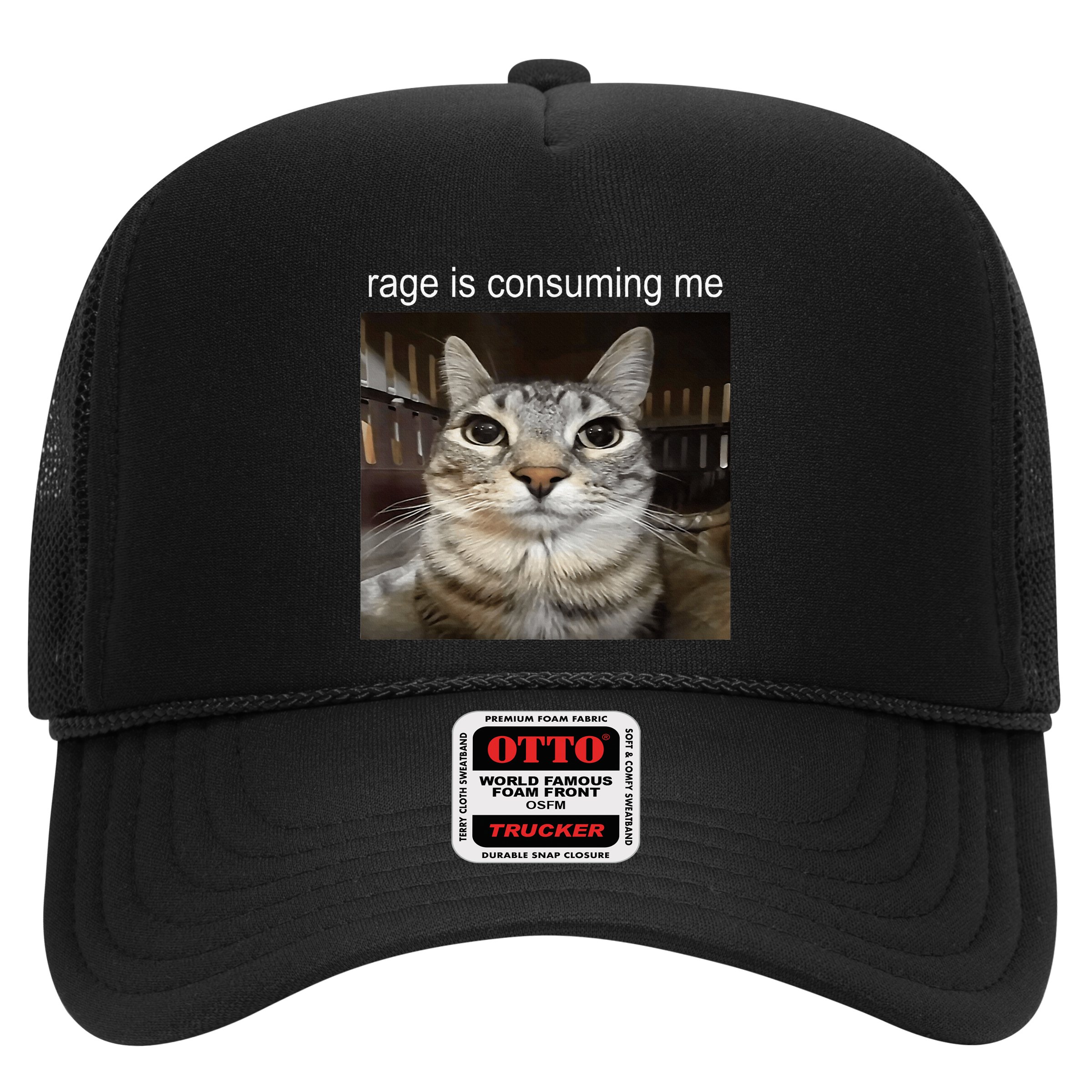 Rage Is Consuming Me Silly Staring Cat Meme Hat