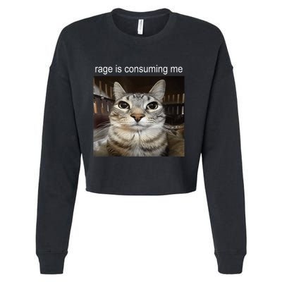 Rage Is Consuming Me Silly Staring Cat Meme Cropped Pullover Crew