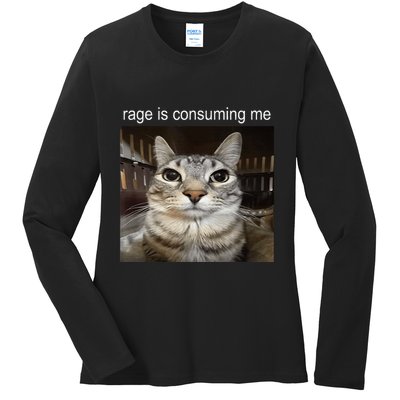 Rage Is Consuming Me Silly Staring Cat Meme Ladies Long Sleeve Shirt