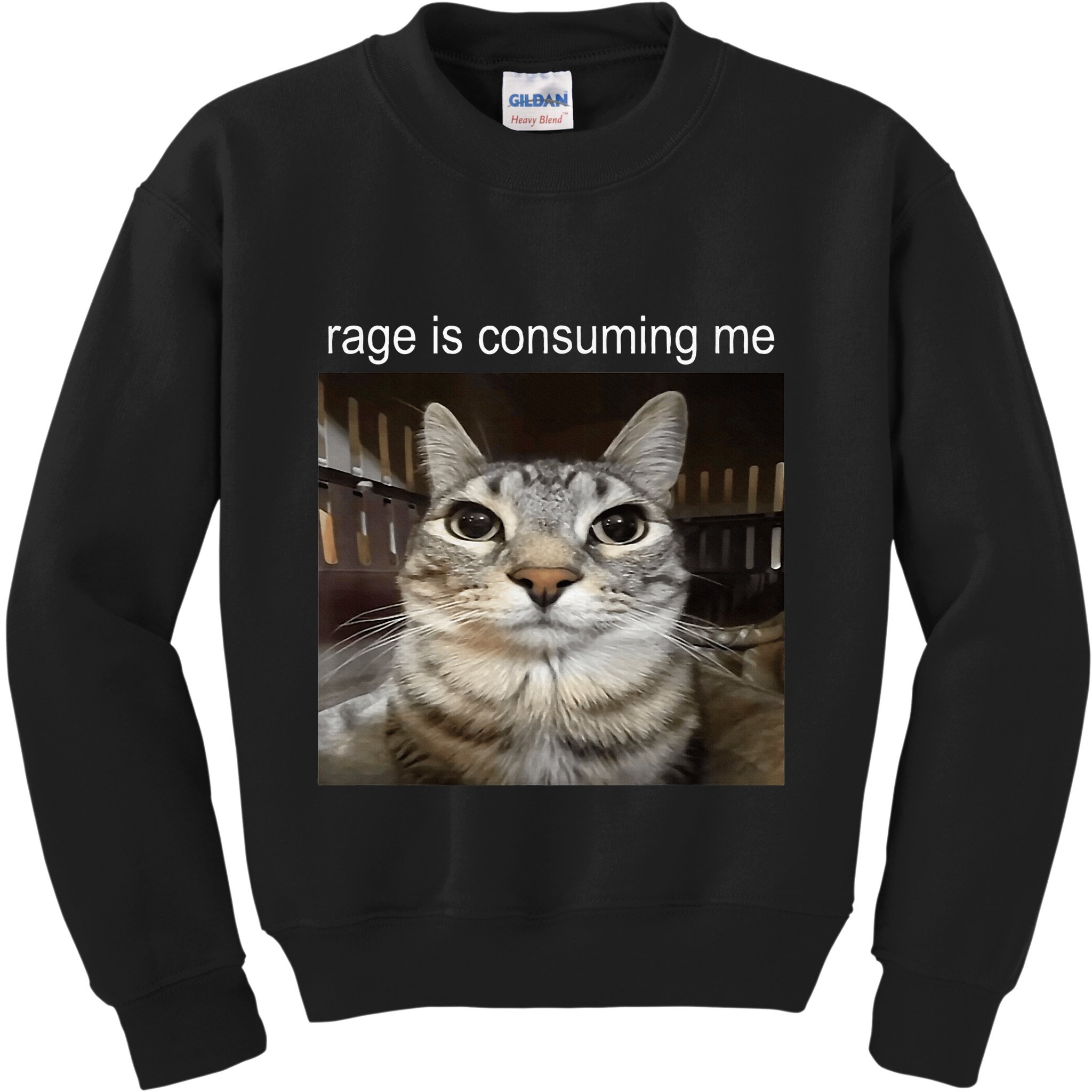 Rage Is Consuming Me Silly Staring Cat Meme Kids Sweatshirt