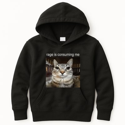 Rage Is Consuming Me Silly Staring Cat Meme Kids Hoodie