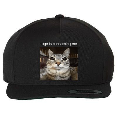 Rage Is Consuming Me Silly Staring Cat Meme Wool Snapback Cap