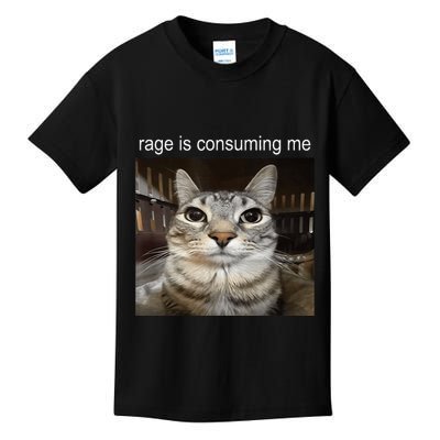 Rage Is Consuming Me Silly Staring Cat Meme Kids T-Shirt
