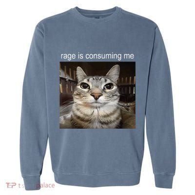 Rage Is Consuming Me Silly Staring Cat Meme Garment-Dyed Sweatshirt
