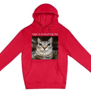 Rage Is Consuming Me Silly Staring Cat Meme Premium Pullover Hoodie