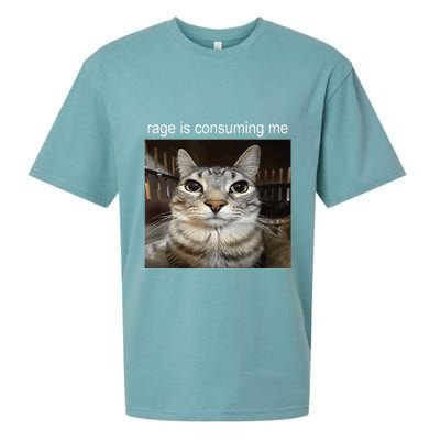 Rage Is Consuming Me Silly Staring Cat Meme Sueded Cloud Jersey T-Shirt
