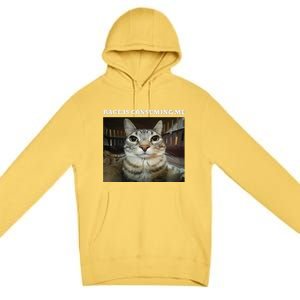 Rage Is Consuming Me Cat Meme Premium Pullover Hoodie