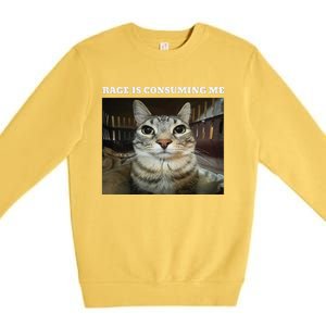 Rage Is Consuming Me Cat Meme Premium Crewneck Sweatshirt