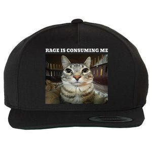 Rage Is Consuming Me Cat Meme Wool Snapback Cap