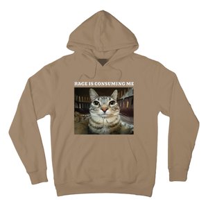 Rage Is Consuming Me Cat Meme Hoodie