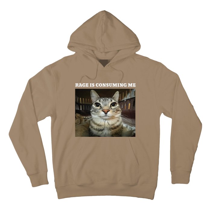 Rage Is Consuming Me Cat Meme Hoodie