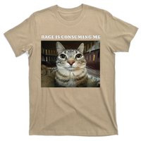 Rage Is Consuming Me Cat Meme T-Shirt