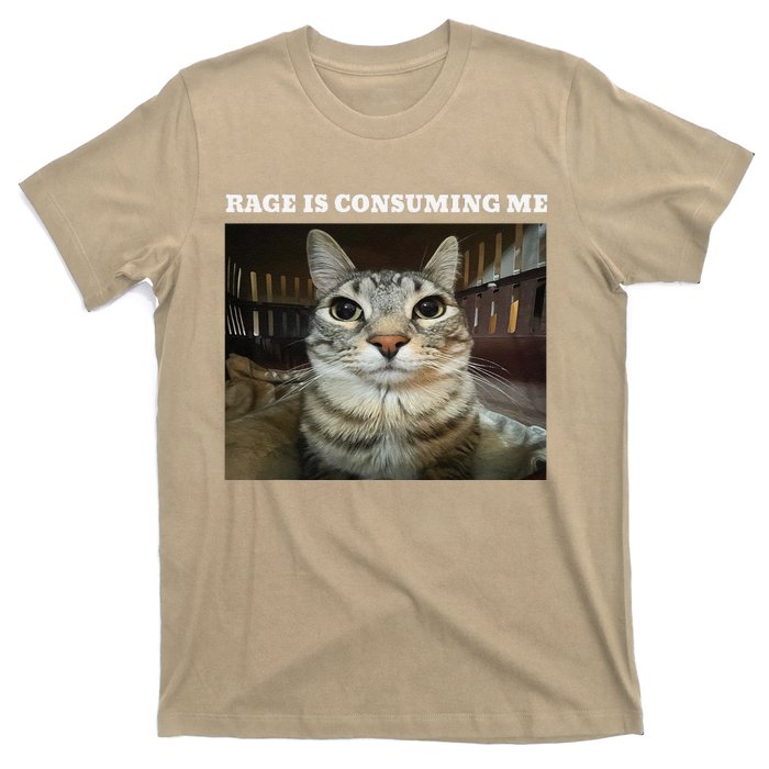 Rage Is Consuming Me Cat Meme T-Shirt