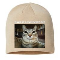 Rage Is Consuming Me Cat Meme Sustainable Beanie