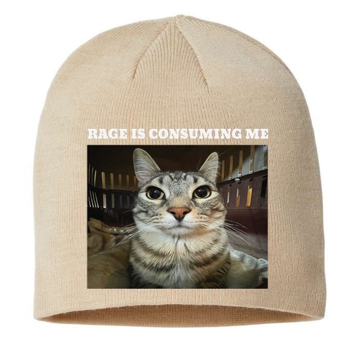 Rage Is Consuming Me Cat Meme Sustainable Beanie