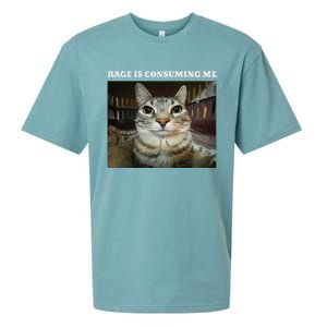 Rage Is Consuming Me Cat Meme Sueded Cloud Jersey T-Shirt