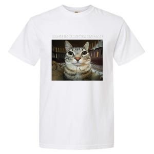 Rage Is Consuming Me Cat Meme Garment-Dyed Heavyweight T-Shirt