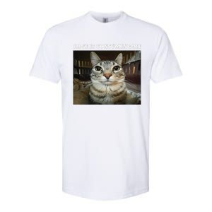 Rage Is Consuming Me Cat Meme Softstyle CVC T-Shirt