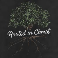 Rooted In Christ Christian Jesus Cool Comfort Performance Bucket Hat