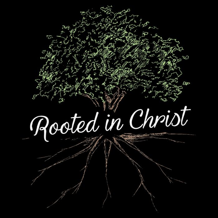 Rooted In Christ Christian Jesus Wool Snapback Cap