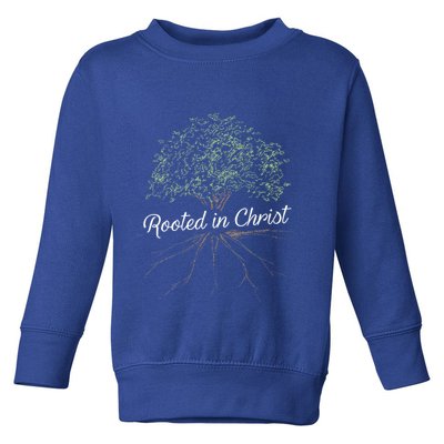 Rooted In Christ Christian Jesus Toddler Sweatshirt