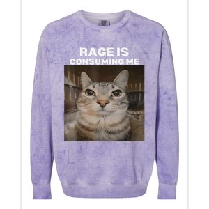 Rage Is Consuming Me Meme Cat Meme Internet Memes Funny Meme Colorblast Crewneck Sweatshirt