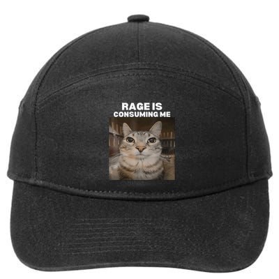Rage Is Consuming Me Meme Cat Meme Internet Memes Funny Meme 7-Panel Snapback Hat
