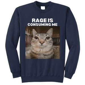 Rage Is Consuming Me Meme Cat Meme Internet Memes Funny Meme Sweatshirt