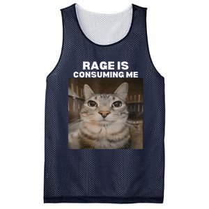 Rage Is Consuming Me Meme Cat Meme Internet Memes Funny Meme Mesh Reversible Basketball Jersey Tank