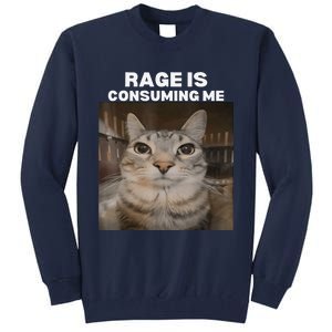 Rage Is Consuming Me Meme Cat Meme Internet Memes Funny Meme Tall Sweatshirt